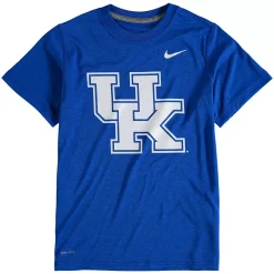 Youth Nike Royal Kentucky Wildcats Logo Legend Dri-FIT T-Shirt